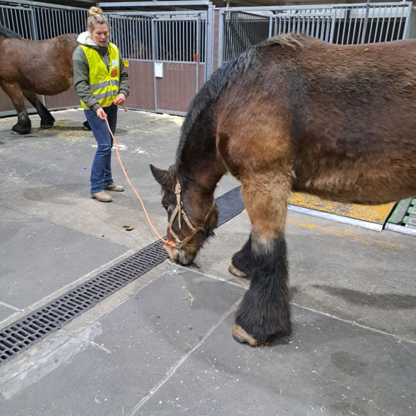 Canada 02/12/2025 10