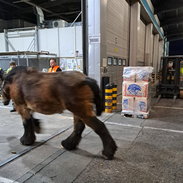 Canada 02/12/2025 11