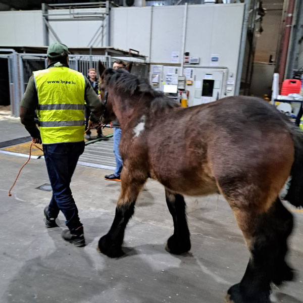 Canada 02/12/2025 12