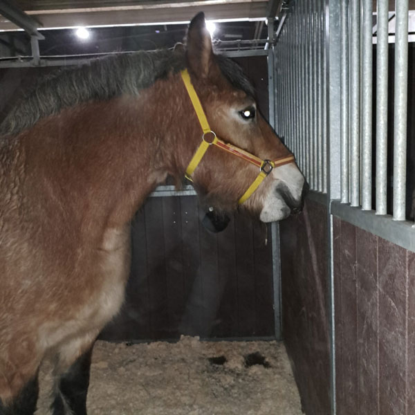 Canada 02/12/2025 13