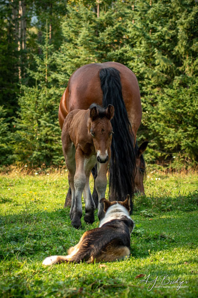 Canada 13092025 2 600