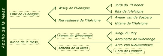 Pédigré Ines de la Mess