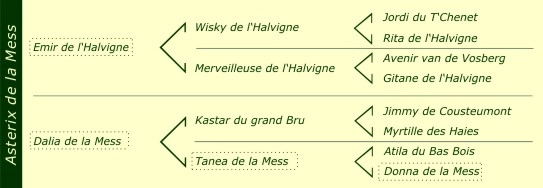 Pédigré Asterix de la Mess