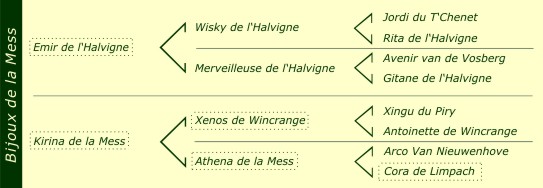 Pédigré Bijoux de la Mess