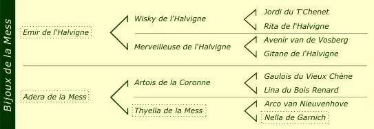 Pédigré Bijoux de la Mess