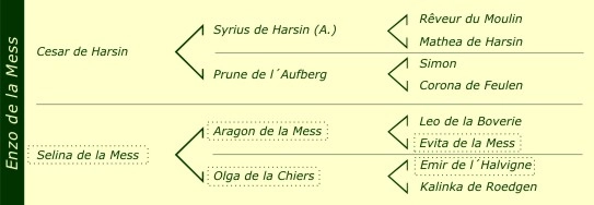 Pédigré Enzo de la Mess