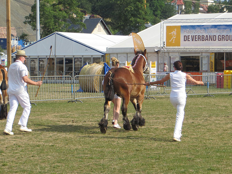 Aragon de la Mess