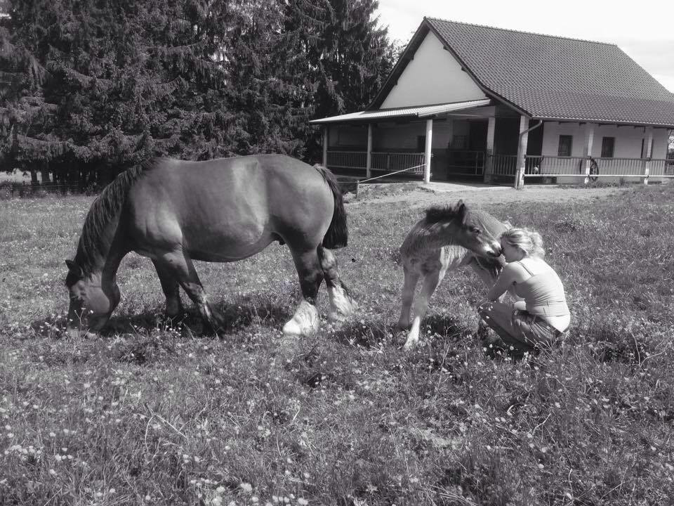 Gaia et Stella de la Mess