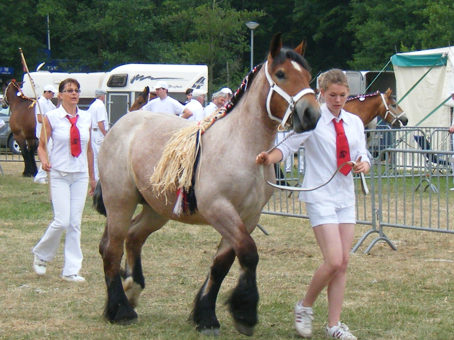 Zaïda de la Mess