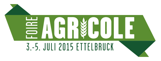 fae-logo-2015-520
