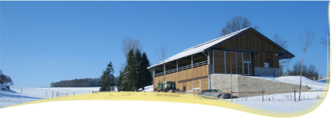 03.Slide homepage intro4